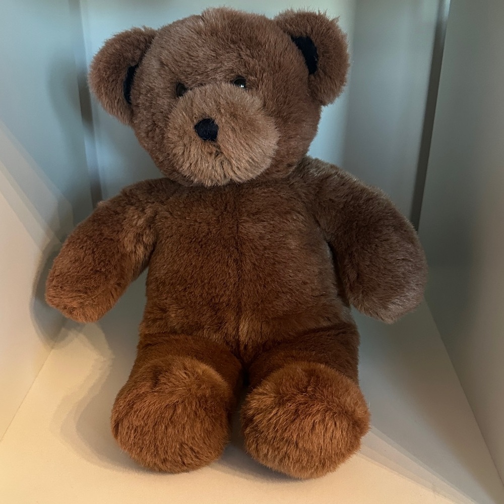 Build A Bear brown Teddy